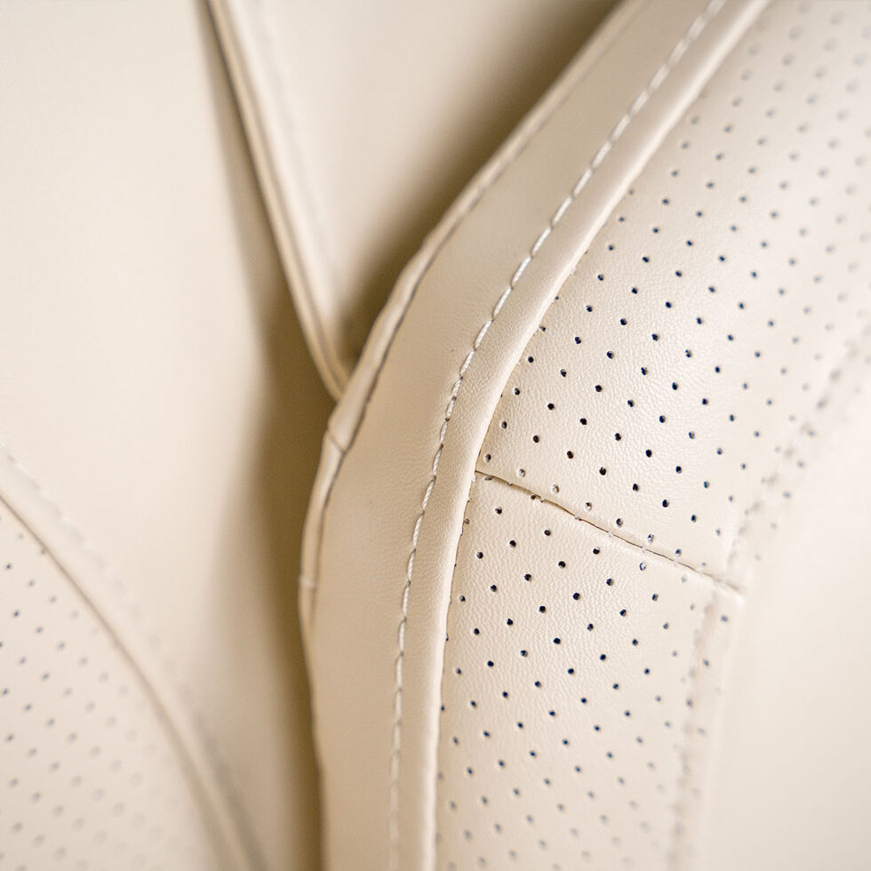 iRest Eagleton — material detail 1